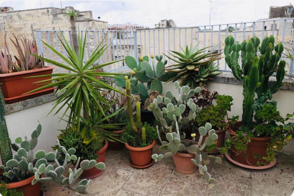 Fior Di Loto Villa Lecce Luaran gambar